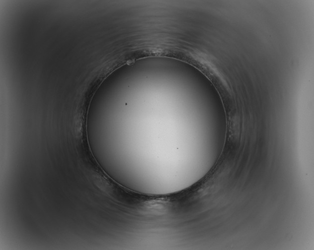 X0000089340505200706291004