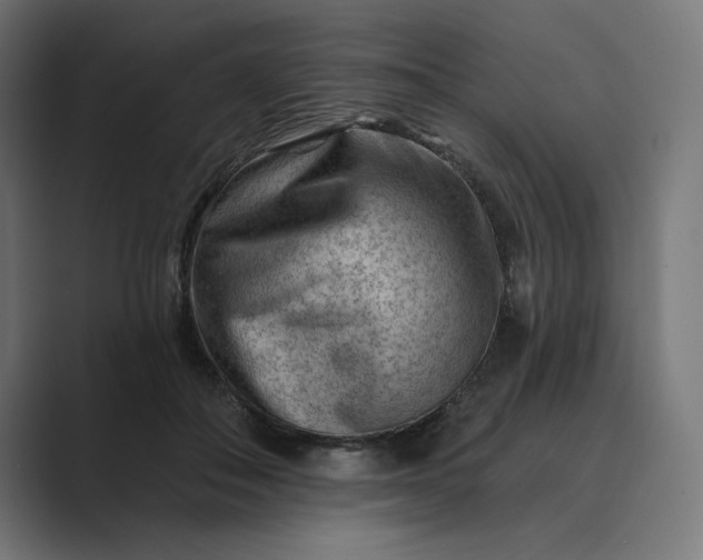 X0000089340506200706291004