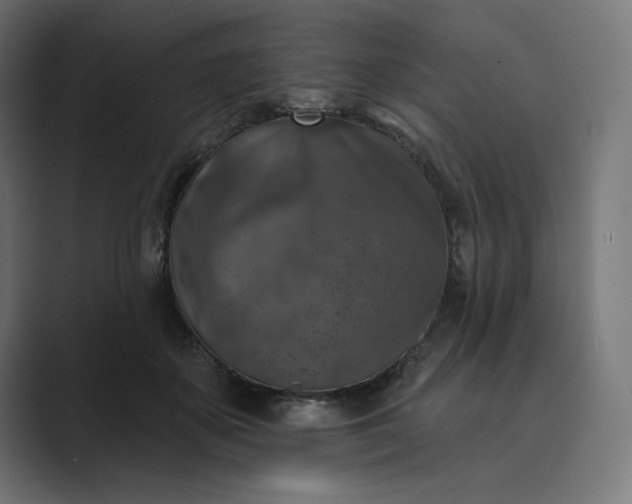 X0000089340507200706291004