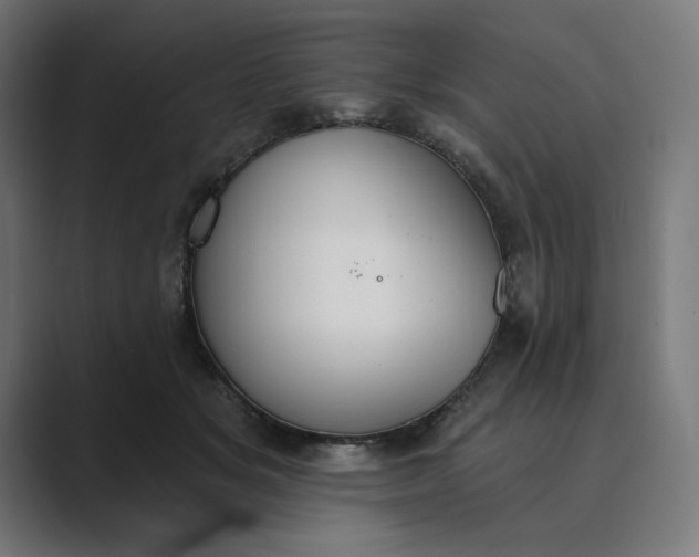 X0000089340509200706291004