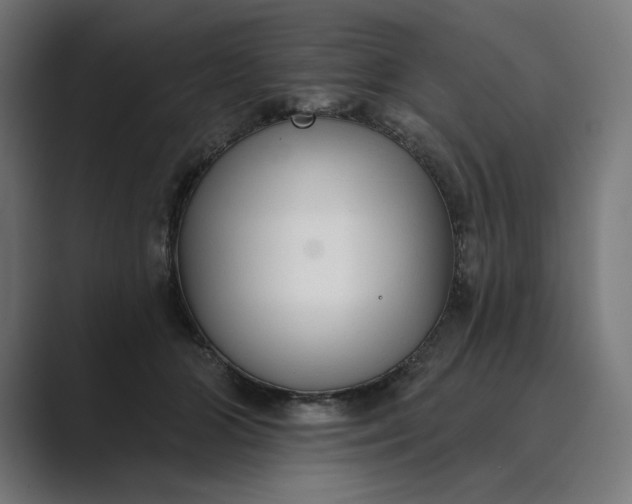 X0000089340510200706291004