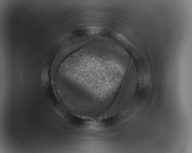 X0000089340516200706291004