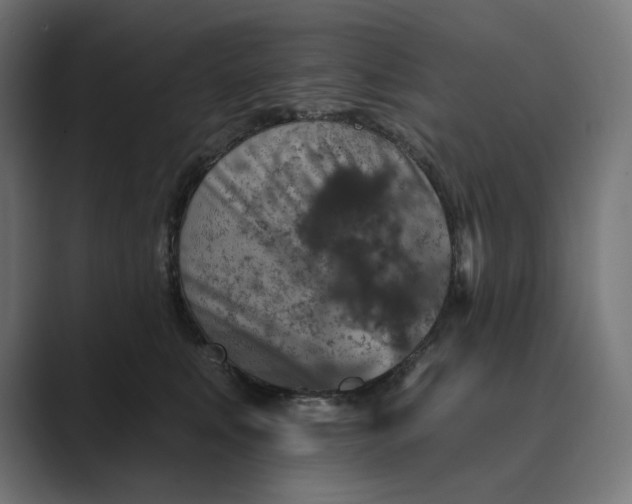 X0000089340519200706291004