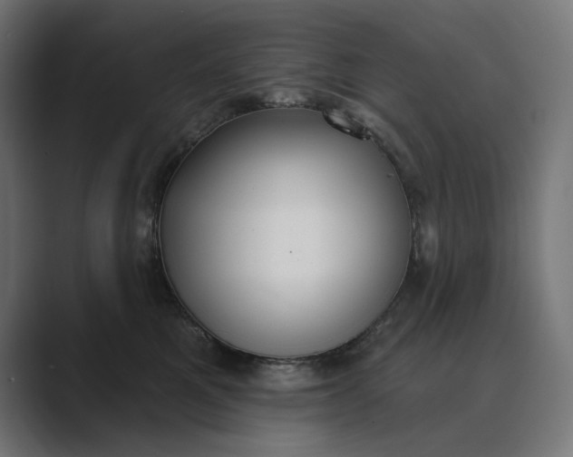 X0000089340521200706291004