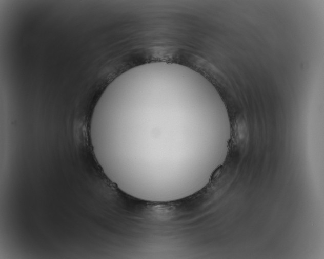 X0000089340522200706291004