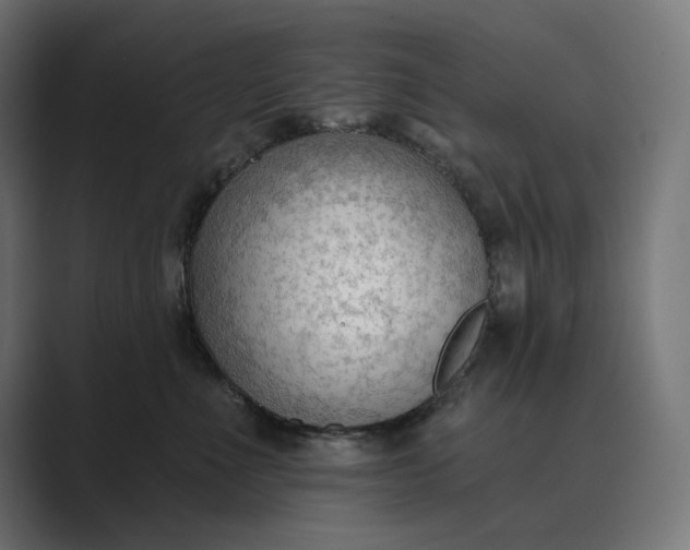 X0000089340523200706291004