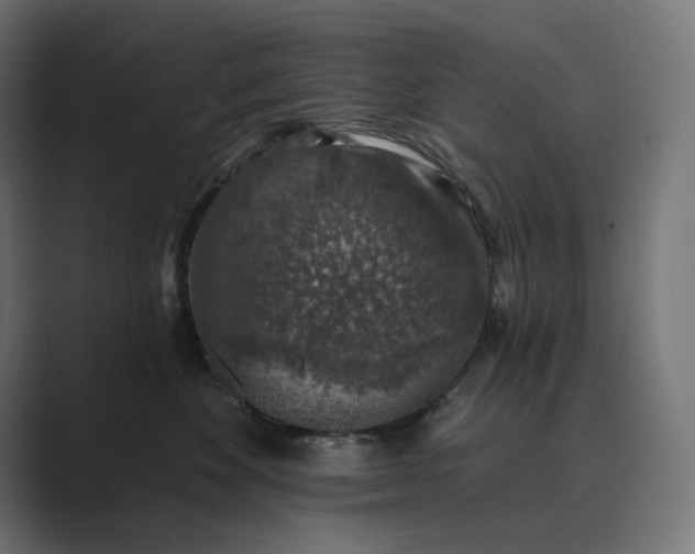 X0000089340524200706291004