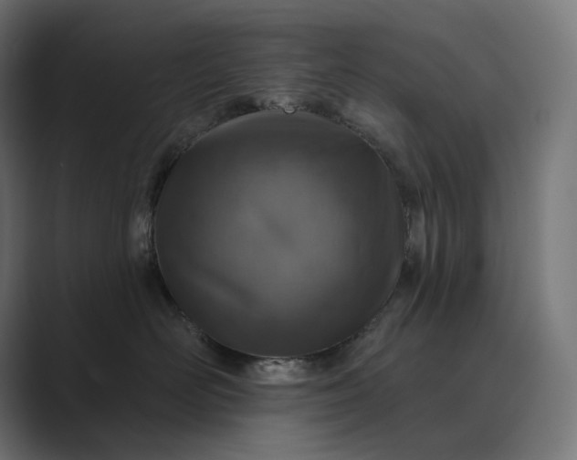 X0000089340526200706291004