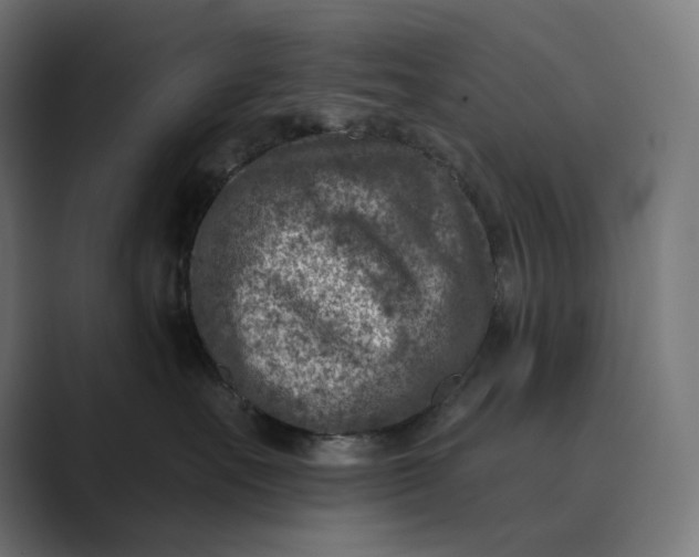 X0000089340527200706291004