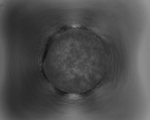 X0000089340528200706291004