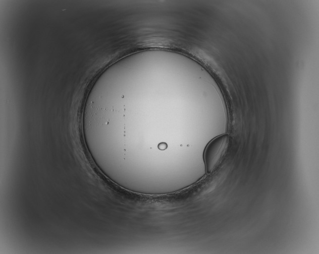 X0000089340529200706291003