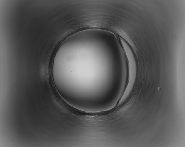 X0000089340530200706291003