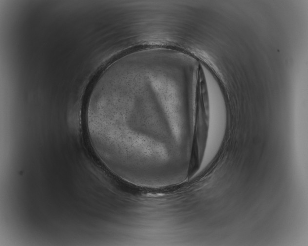 X0000089340531200706291003
