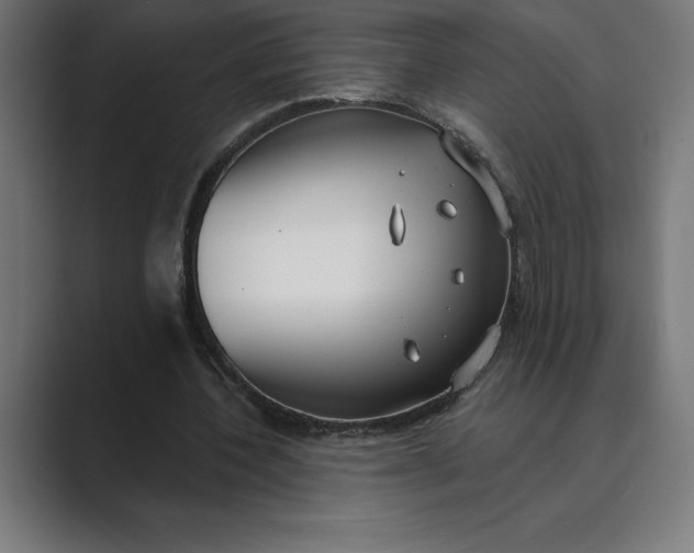 X0000089340532200706291003
