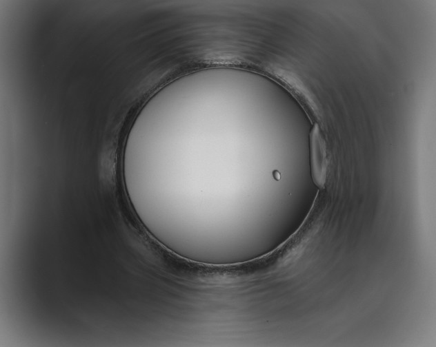 X0000089340533200706291003