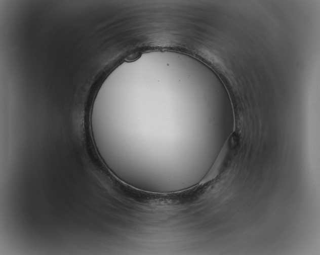 X0000089340535200706291003
