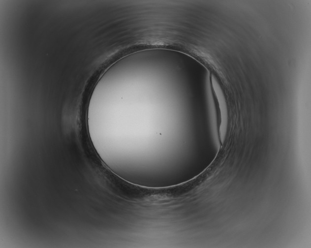 X0000089340536200706291003