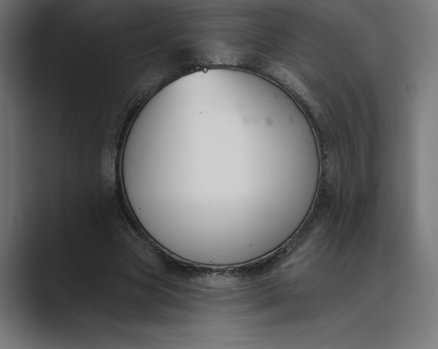 X0000089340537200706291003
