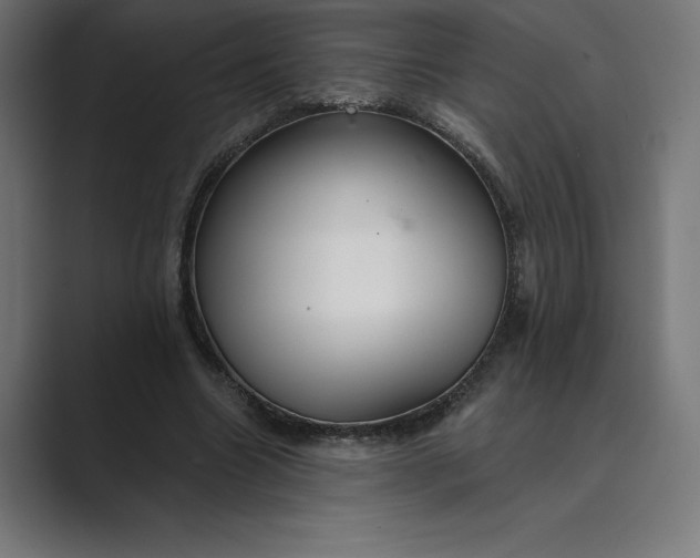 X0000089340538200706291003
