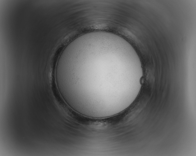 X0000089340542200706291003