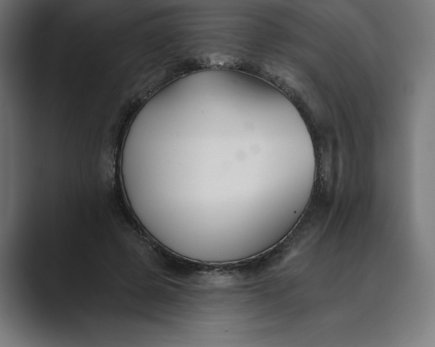 X0000089340545200706291003
