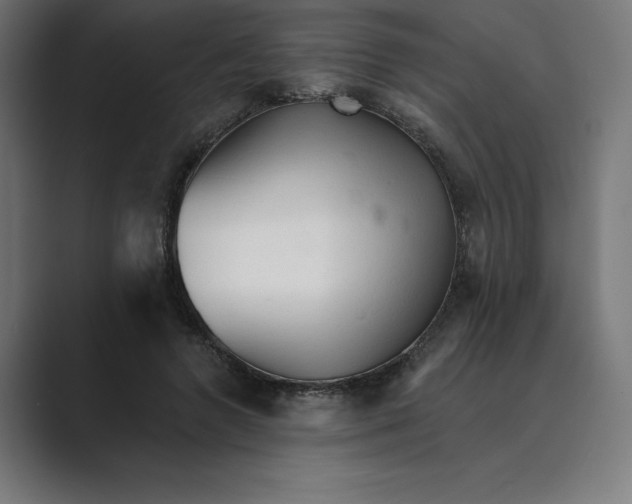 X0000089340546200706291003