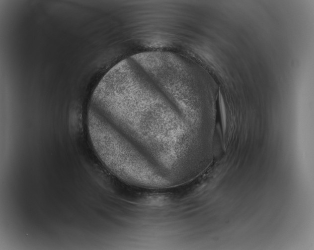 X0000089340547200706291003