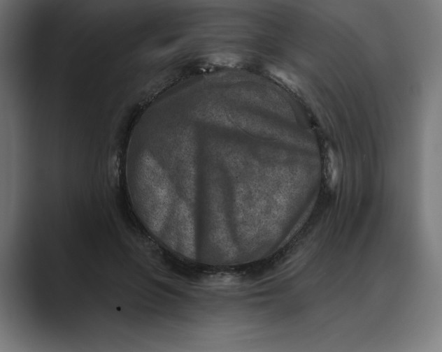 X0000089340551200706291003