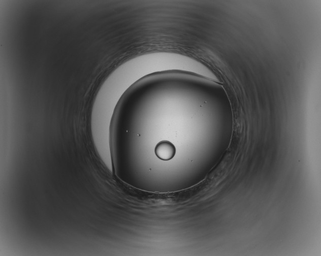 X0000089340552200706291003