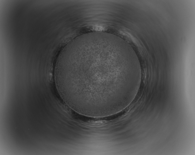 X0000089340553200706291003