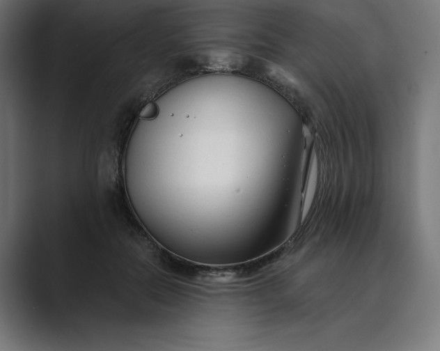 X0000089340554200706291003