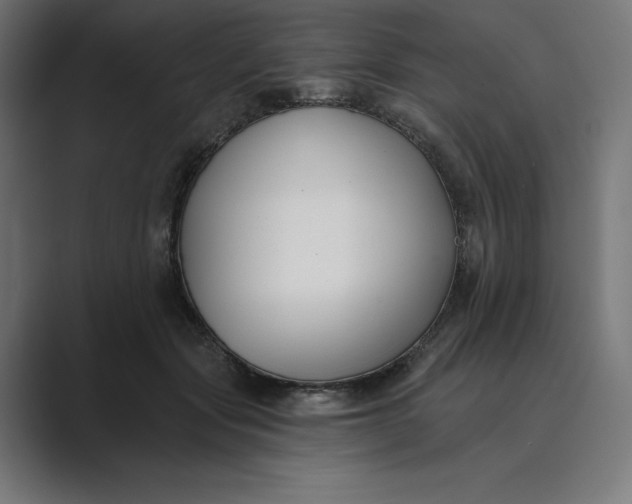 X0000089340557200706291003