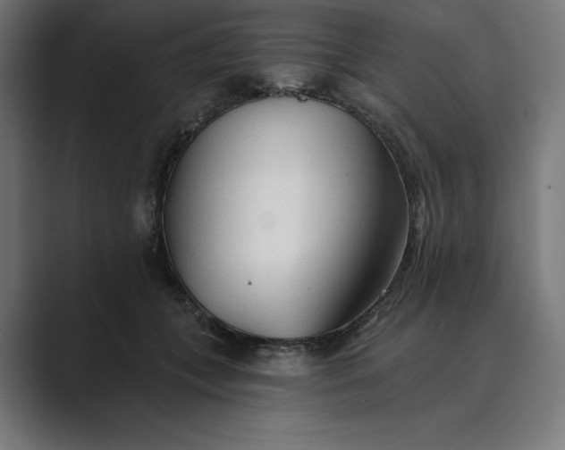 X0000089340559200706291003