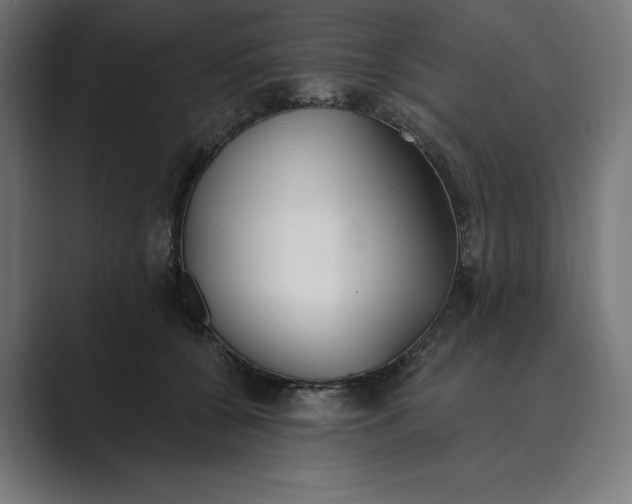 X0000089340560200706291003