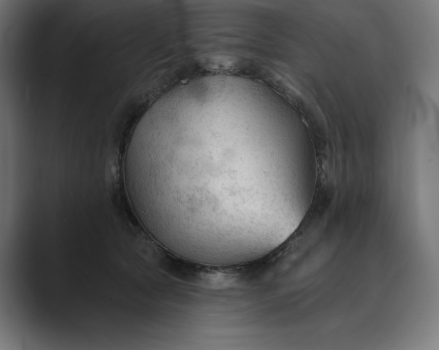 X0000089340561200706291003