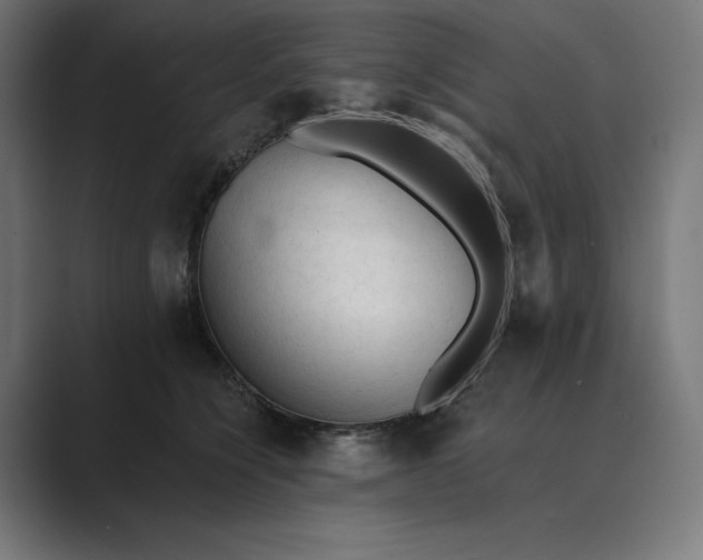 X0000089340564200706291003