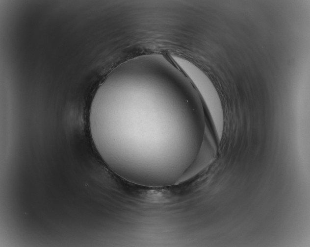 X0000089340566200706291003