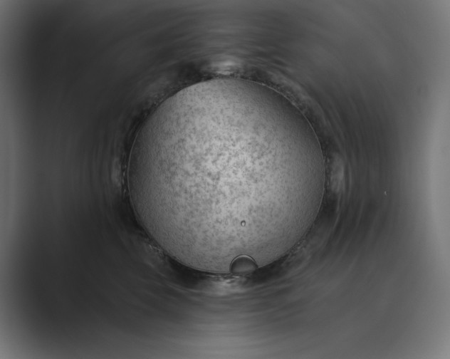 X0000089340569200706291003