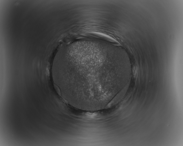 X0000089340570200706291004