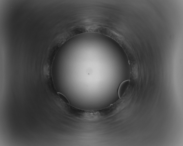X0000089340571200706291004