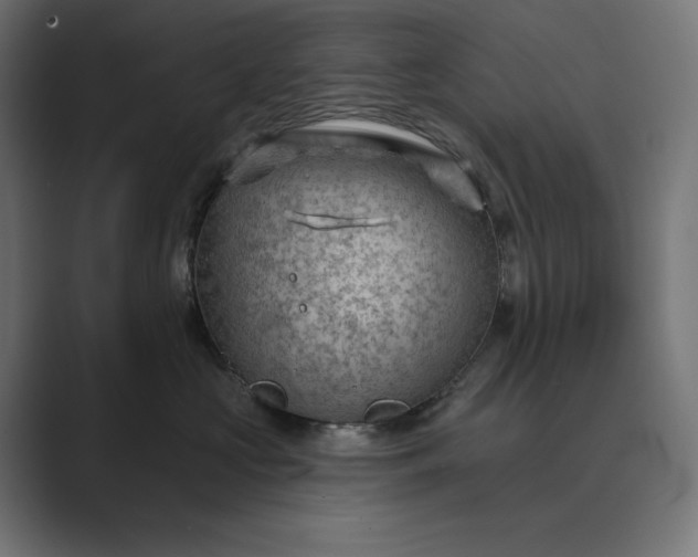 X0000089340573200706291004