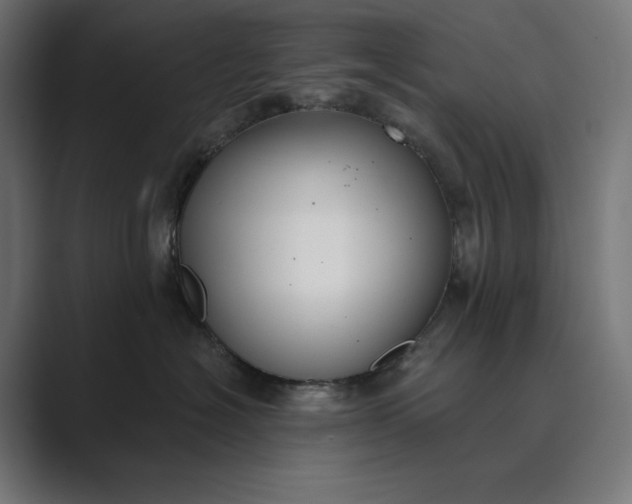 X0000089340574200706291004