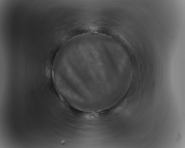X0000089340576200706291004