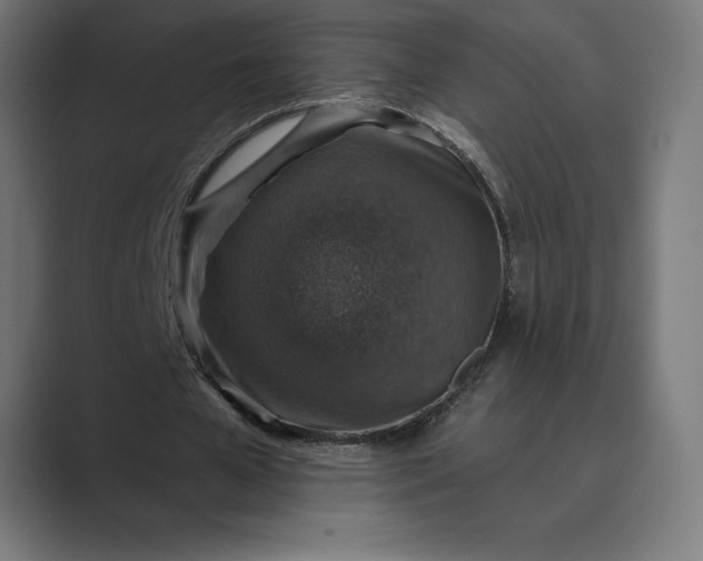 X0000089340577200706291003