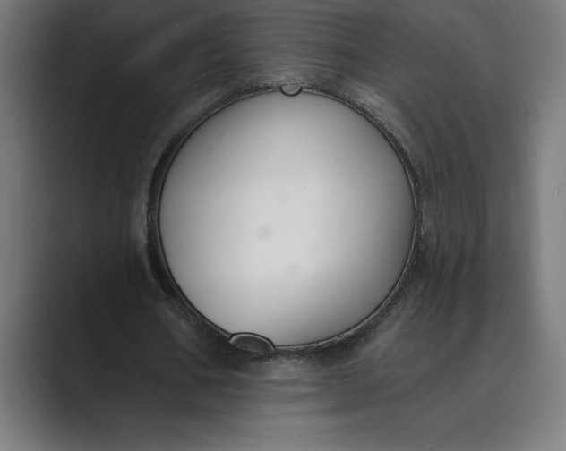 X0000089340578200706291003