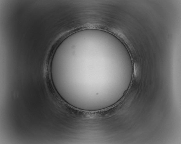 X0000089340579200706291003