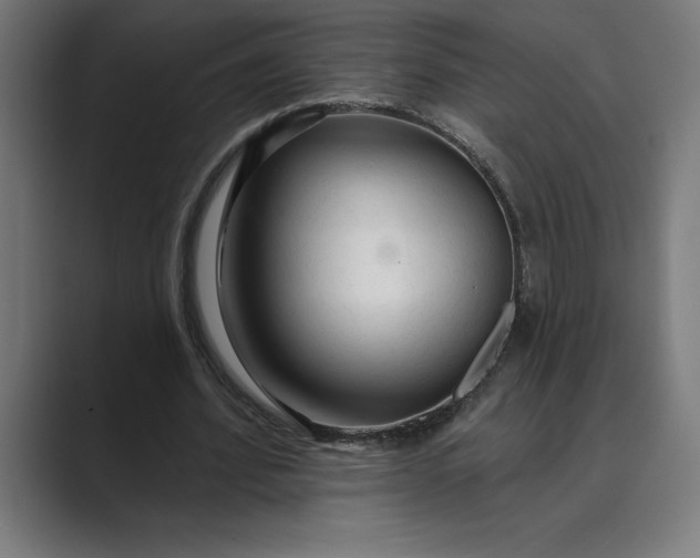 X0000089340580200706291003