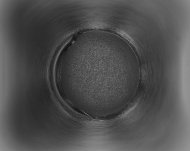 X0000089340581200706291003