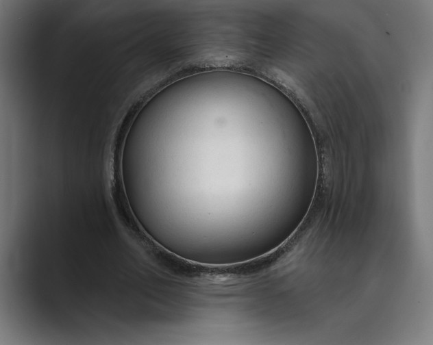 X0000089340582200706291003