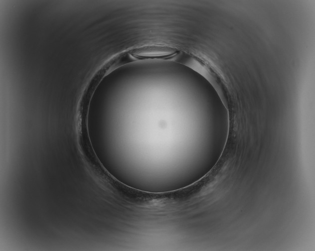 X0000089340584200706291003